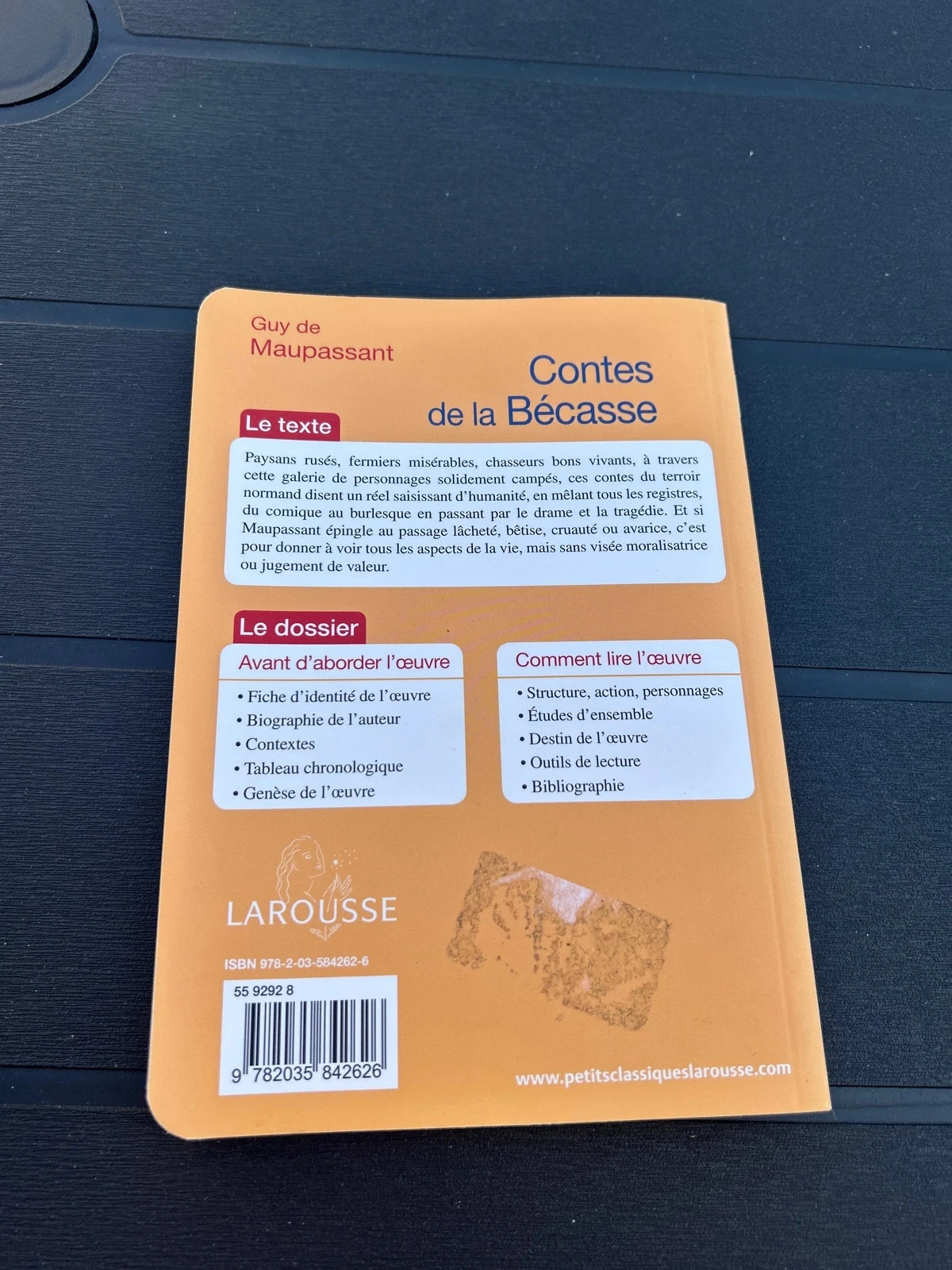 Boek verhalen van de ruigbeekoorts Guy de Maupassant Larousse kleine klassiekers – photo 3